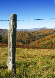 Wood Fence Posts - Wood Fencing Benefits 1